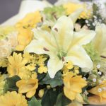 黄色の切り花イメージ01