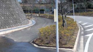 Thumbnail of post image 101