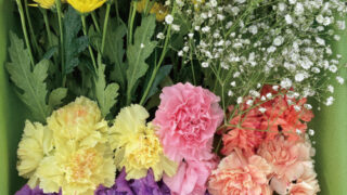 Thumbnail of post image 071
