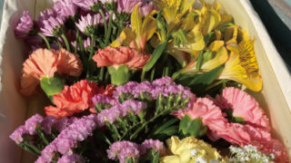 Thumbnail of post image 084