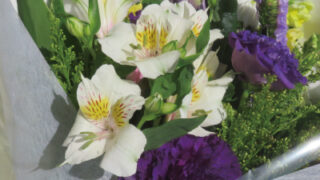 Thumbnail of post image 125