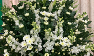 Thumbnail of post image 152