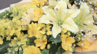 Thumbnail of post image 120