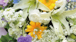 Thumbnail of post image 014