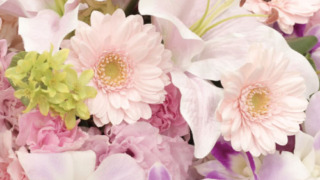 Thumbnail of post image 127
