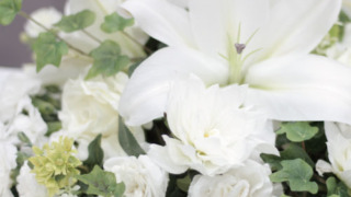 Thumbnail of post image 162