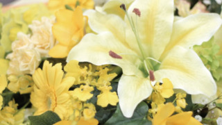 Thumbnail of post image 121