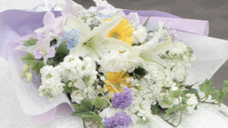 Thumbnail of post image 166