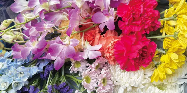 糟屋郡宇美町の火葬式プラン