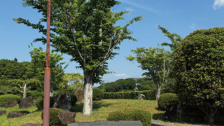 Thumbnail of post image 106